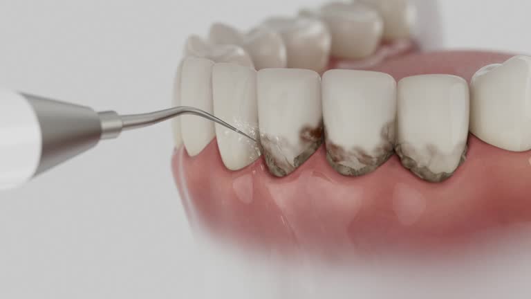 Reliable Dental contractor in Shenandoah Farms, VA by Dentist Open Now
